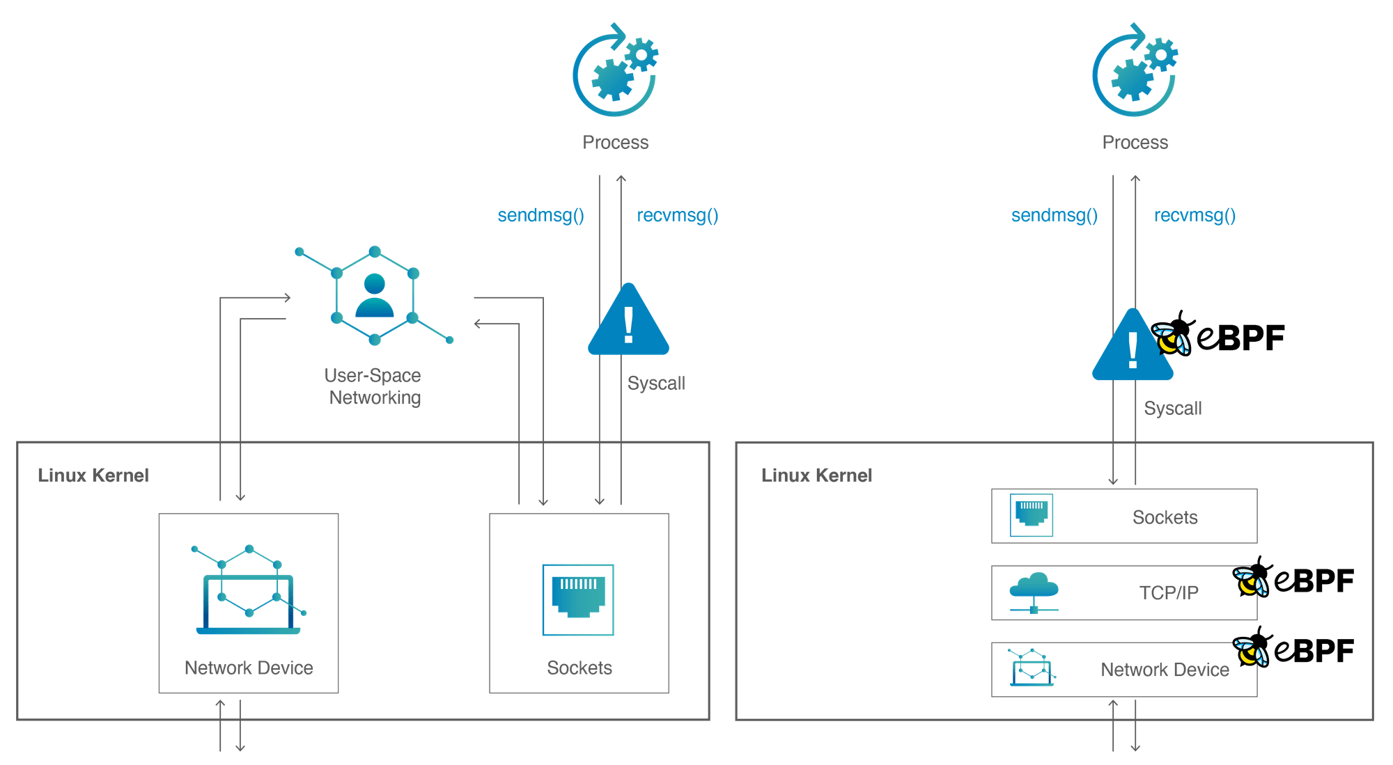 container and network epf